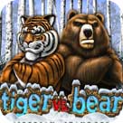 Tiger Vs Bear