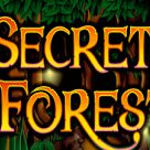 Secret Forest